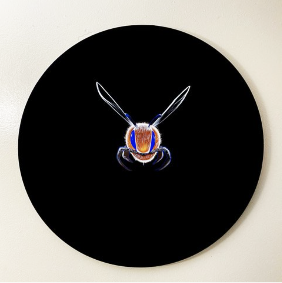 doperx-bee